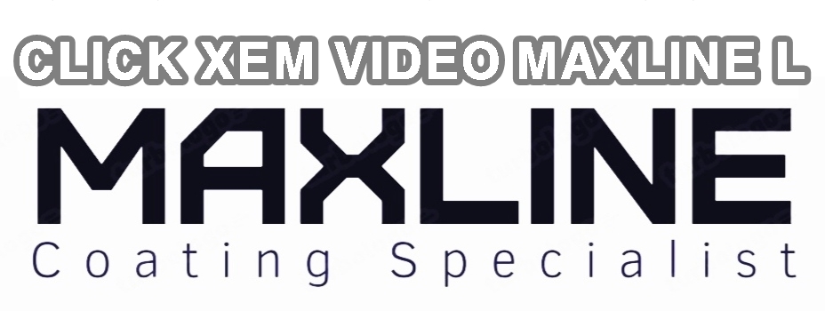 Maxline L Series